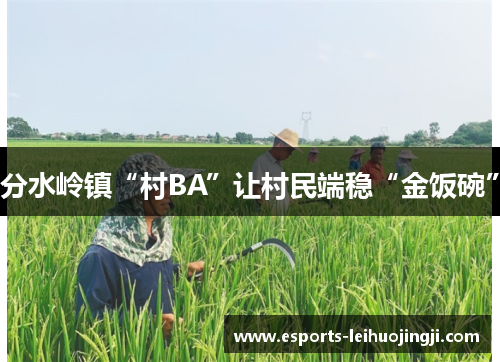 分水岭镇“村BA”让村民端稳“金饭碗”