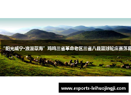 “阳光威宁·浪漫草海”鸡鸣三省革命老区三省八县篮球轮庄赛落幕